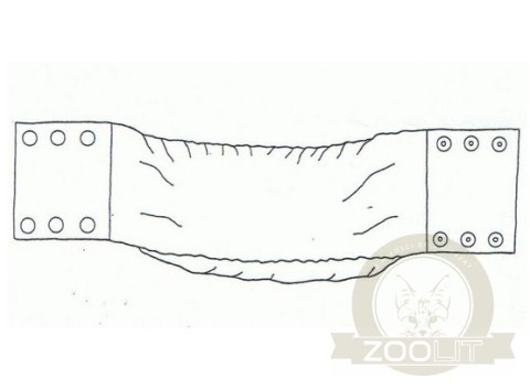 Grande Finale Pampas czarny - majtki dla samca rozmiar 3 [PA1/3]