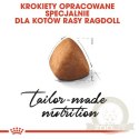 Royal Canin Ragdoll Adult karma sucha dla kotów dorosłych rasy ragdoll 2kg