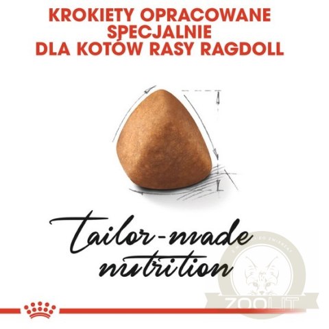 Royal Canin Ragdoll Adult karma sucha dla kotów dorosłych rasy ragdoll 2kg Royal Canin Ragdoll Adult karma sucha dla kotów dorosłych rasy ragdoll 2kg