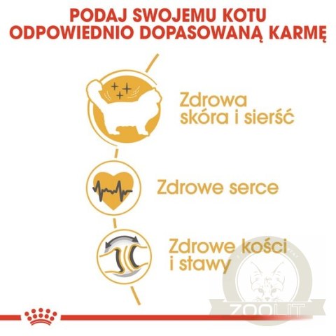 Royal Canin Ragdoll Adult karma sucha dla kotów dorosłych rasy ragdoll 2kg Royal Canin Ragdoll Adult karma sucha dla kotów dorosłych rasy ragdoll 2kg