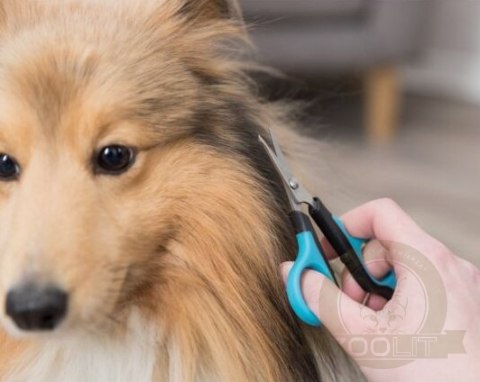 Trixie Nożyczki pielęgnacyjne [2360]