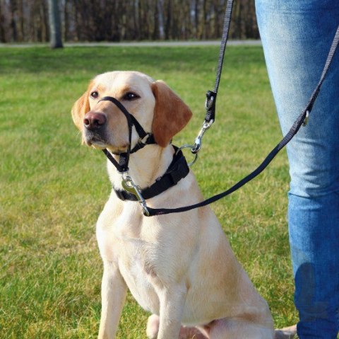 Trixie Uprząż Top Trainer S 22cm [13002]