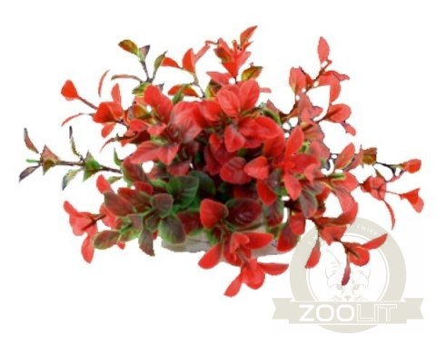 Happet Aquatic Plant - czerwono-zielona roślinka sztuczna 10cm