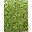 Repti-Zoo Natural Moss Back&Bottom - tło i podłoże z mchu 50x25cm