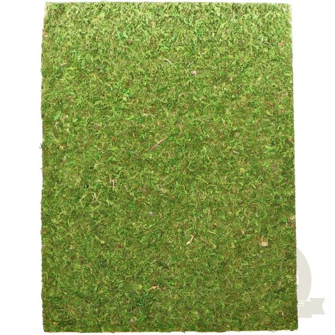 Repti-Zoo Natural Moss Back&Bottom - tło i podłoże z mchu 50x25cm Repti-Zoo Natural Moss Back&Bottom - tło i podłoże z mchu 50x25cm
