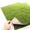 Repti-Zoo Natural Moss Back&Bottom - tło i podłoże z mchu 50x25cm