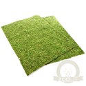Repti-Zoo Natural Moss Back&Bottom - tło i podłoże z mchu 50x25cm
