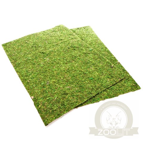 Repti-Zoo Natural Moss Back&Bottom - tło i podłoże z mchu 50x25cm Repti-Zoo Natural Moss Back&Bottom - tło i podłoże z mchu 50x25cm