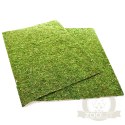 Repti-Zoo Natural Moss Back&Bottom - tło i podłoże z mchu 50x25cm