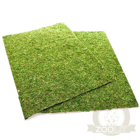 Repti-Zoo Natural Moss Back&Bottom - tło i podłoże z mchu 50x25cm Repti-Zoo Natural Moss Back&Bottom - tło i podłoże z mchu 50x25cm
