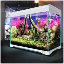 SunSun Supreme AquaPlant 40l - zestaw akwarium