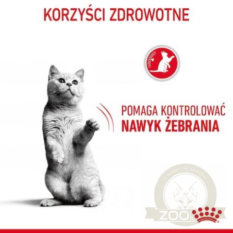 Royal Canin Appetite Control Care karma sucha dla kotów dorosłych, domagających się jedzenia 400g Royal Canin Appetite Control Care karma sucha dla kotów dorosłych, domagających się jedzenia 400g