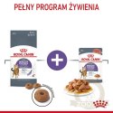 Royal Canin Appetite Control Care karma sucha dla kotów dorosłych, domagających się jedzenia 400g
