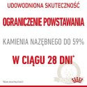 Royal Canin Dental Care karma sucha dla kotów dorosłych, redukująca odkładanie kamienia nazębnego 1,5kg