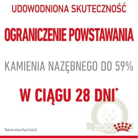 Royal Canin Dental Care karma sucha dla kotów dorosłych, redukująca odkładanie kamienia nazębnego 3,5kg