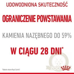 Royal Canin Dental Care karma sucha dla kotów dorosłych, redukująca odkładanie kamienia nazębnego 400g