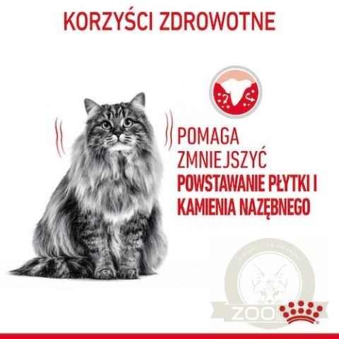 Royal Canin Dental Care karma sucha dla kotów dorosłych, redukująca odkładanie kamienia nazębnego 400g Royal Canin Dental Care karma sucha dla kotów dorosłych, redukująca odkładanie kamienia nazębnego 400g