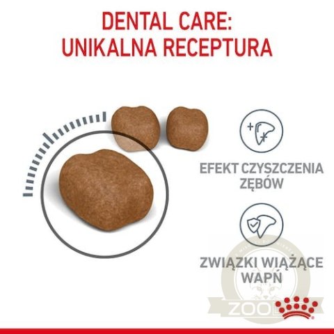 Royal Canin Dental Care karma sucha dla kotów dorosłych, redukująca odkładanie kamienia nazębnego 400g Royal Canin Dental Care karma sucha dla kotów dorosłych, redukująca odkładanie kamienia nazębnego 400g