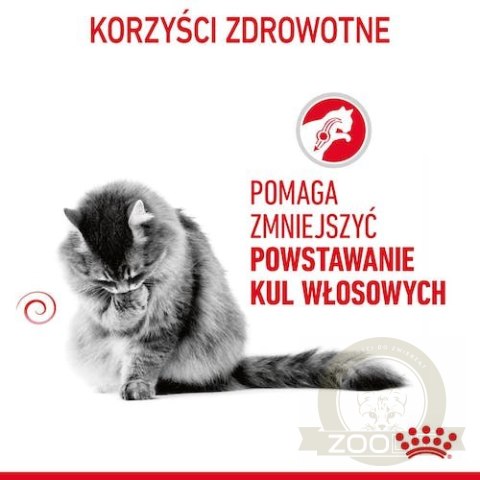 Royal Canin Hairball Care karma sucha dla kotów dorosłych, eliminacja kul włosowych 400g Royal Canin Hairball Care karma sucha dla kotów dorosłych, eliminacja kul włosowych 400g
