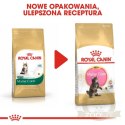 Royal Canin Maine Coon Kitten karma sucha dla kociąt, do 15 miesiąca, rasy maine coon 2kg