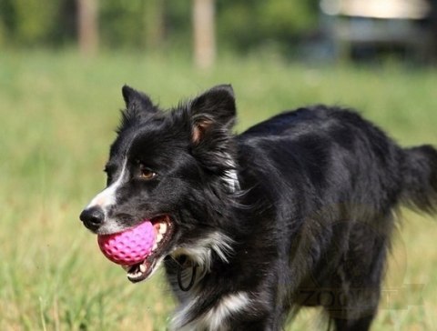 Kiwi Walker Let's Play Ball Mini piłka różowa Kiwi Walker Let's Play Ball Mini piłka różowa