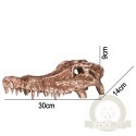 Terrario Crocodile Skull - czaszka krokodyla do terrarium 30x14x9 cm