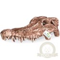 Terrario Crocodile Skull - czaszka krokodyla do terrarium 30x14x9 cm