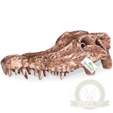 Terrario Crocodile Skull - czaszka krokodyla do terrarium 30x14x9 cm Terrario Crocodile Skull - czaszka krokodyla do terrarium 30x14x9 cm