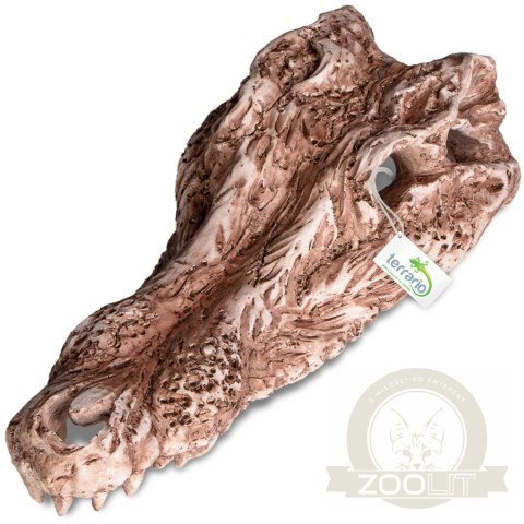 Terrario Crocodile Skull - czaszka krokodyla do terrarium 30x14x9 cm Terrario Crocodile Skull - czaszka krokodyla do terrarium 30x14x9 cm