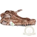Terrario Crocodile Skull - czaszka krokodyla do terrarium 30x14x9 cm