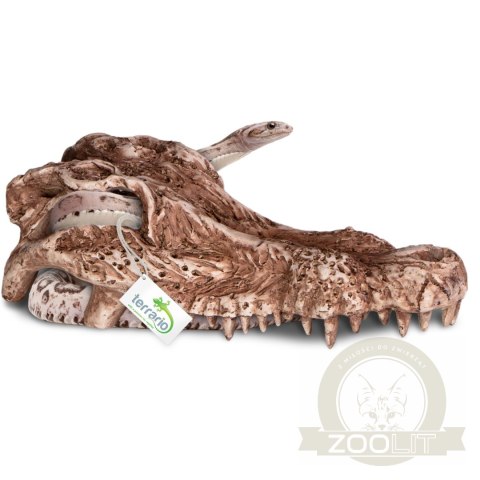Terrario Crocodile Skull - czaszka krokodyla do terrarium 30x14x9 cm Terrario Crocodile Skull - czaszka krokodyla do terrarium 30x14x9 cm
