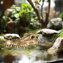 Terrario Crocodile Skull - czaszka krokodyla do terrarium 30x14x9 cm