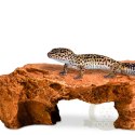Terrario Mountain Shelf M - kryjówka do terrarium 22x17x8,5cm