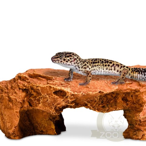 Terrario Mountain Shelf M - kryjówka do terrarium 22x17x8,5cm Terrario Mountain Shelf M - kryjówka do terrarium 22x17x8,5cm