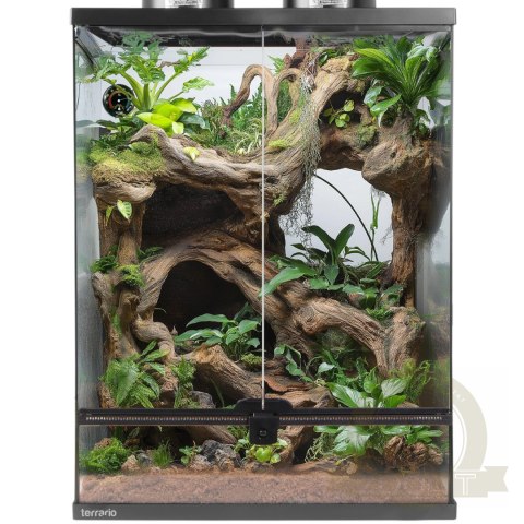 Terrario Oasis Verde 30 - terrarium 45x45x60 z zestawem Terrario Oasis Verde 30 - terrarium 45x45x60 z zestawem