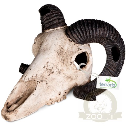 Terrario Ram Skull - czaszka barana do terrarium 19x16x11 cm Terrario Ram Skull - czaszka barana do terrarium 19x16x11 cm