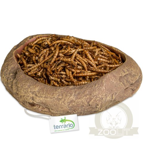 Terrario Rock Oasis L - Miska do Terrarium 17x15x4,5 cm Terrario Rock Oasis L - Miska do Terrarium 17x15x4,5 cm