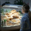 Terrario Rock Oasis L - Miska do Terrarium 17x15x4,5 cm