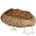 Terrario Rock Oasis L - Miska do Terrarium 17x15x4,5 cm