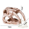 Terrario Sabertooth Skull - czaszka tygrysa do terrarium 13x8,5x11 cm