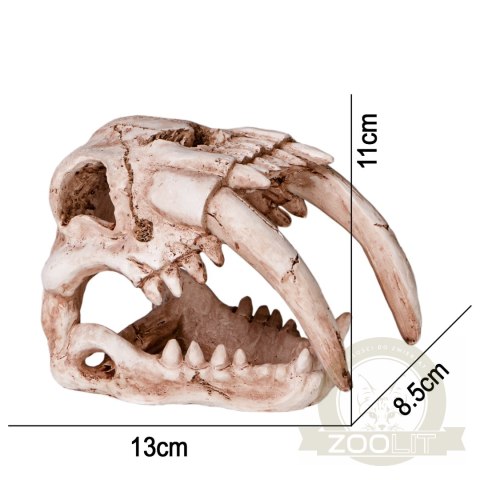 Terrario Sabertooth Skull - czaszka tygrysa do terrarium 13x8,5x11 cm Terrario Sabertooth Skull - czaszka tygrysa do terrarium 13x8,5x11 cm