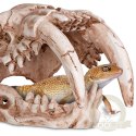Terrario Sabertooth Skull - czaszka tygrysa do terrarium 13x8,5x11 cm