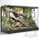 Terrario Sabertooth Skull - czaszka tygrysa do terrarium 13x8,5x11 cm
