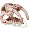 Terrario Sabertooth Skull - czaszka tygrysa do terrarium 13x8,5x11 cm