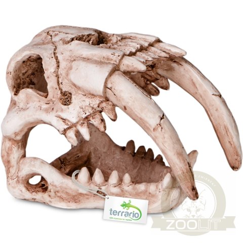 Terrario Sabertooth Skull - czaszka tygrysa do terrarium 13x8,5x11 cm Terrario Sabertooth Skull - czaszka tygrysa do terrarium 13x8,5x11 cm