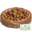 Terrario Tree Ring Bowl XS - Miska do Terrarium 6x5x1 cm