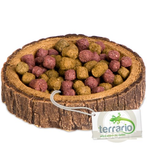 Terrario Tree Ring Bowl XS - Miska do Terrarium 6x5x1 cm Terrario Tree Ring Bowl XS - Miska do Terrarium 6x5x1 cm