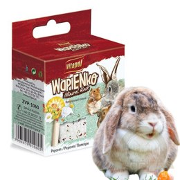 Vitapol - kostka wapienna dla gryzoni Popcorn