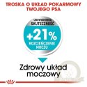 Royal Canin Mini Urinary Care karma sucha dla psów dorosłych, ras małych, ochrona dolnych dróg moczowych 3kg