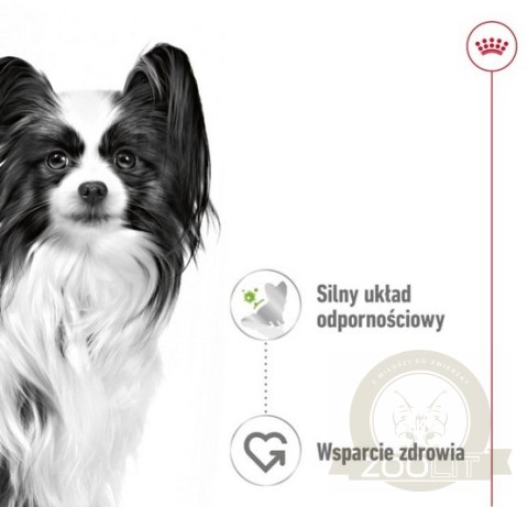 Royal Canin X-Small Adult w sosie saszetka 85g Royal Canin X-Small Adult w sosie saszetka 85g